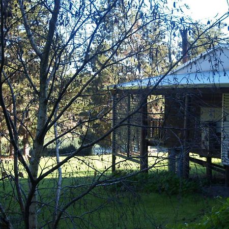 Hawke Brook Chalets Pemberton Eksteriør bilde