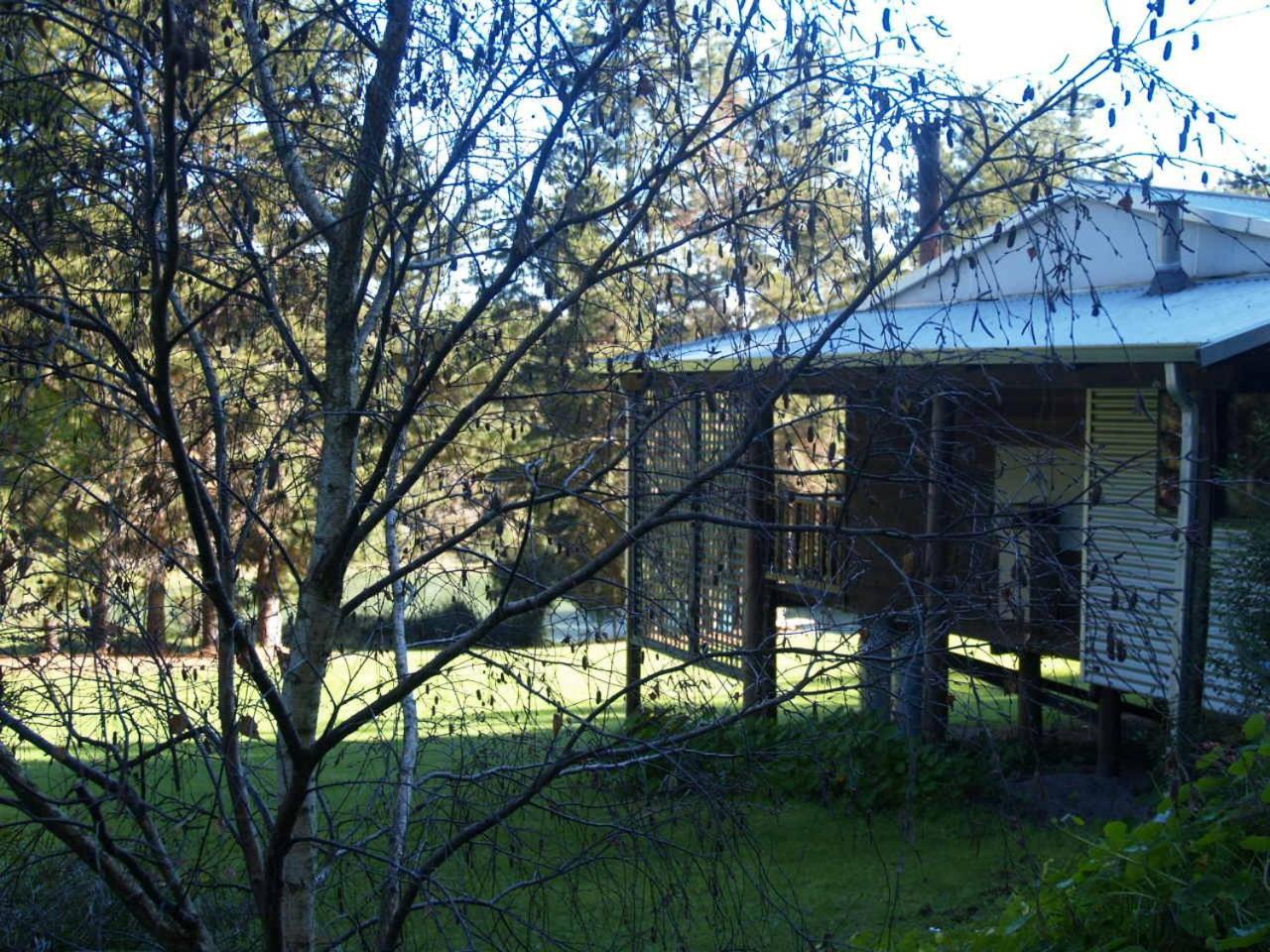 Hawke Brook Chalets Pemberton Eksteriør bilde